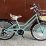 [子供用自転車] サカイサイクル 22インチ ノルディックプレイ ジュニアのご紹介